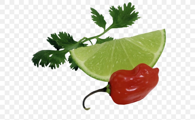 Green Papaya Salad Lemon Lime Auglis Vegetable, PNG, 600x504px, Green Papaya Salad, Auglis, Capsicum Annuum, Chili Pepper, Diet Food Download Free