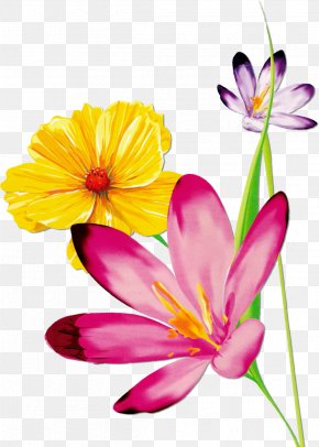 Flower - Watercolor: Flowers Watercolor Painting Floral Design PNG