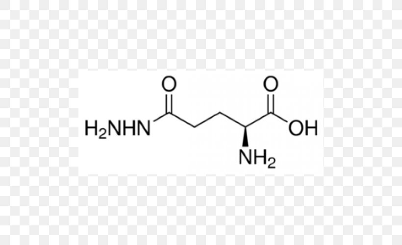 Acetyllysine Gamma-L-Glutamyl-L-cysteine Glutamic Acid, PNG, 500x500px, Lysine, Acetyl Group, Alanine, Amino Acid, Area Download Free