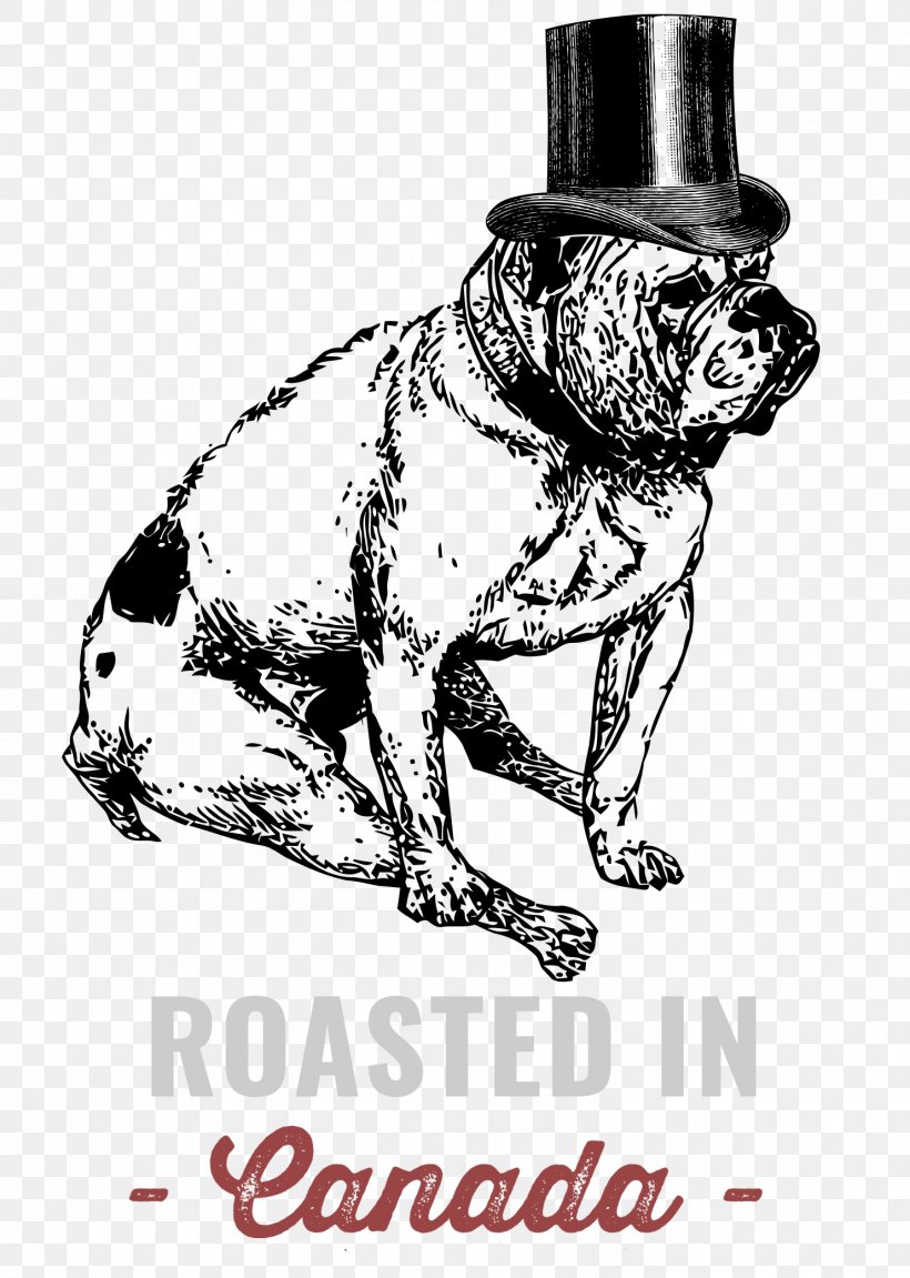 Coffee Dog Breed Roasting Non-sporting Group /m/02csf, PNG, 1483x2083px, Coffee, Bean, Black And White, Canada, Carnivoran Download Free