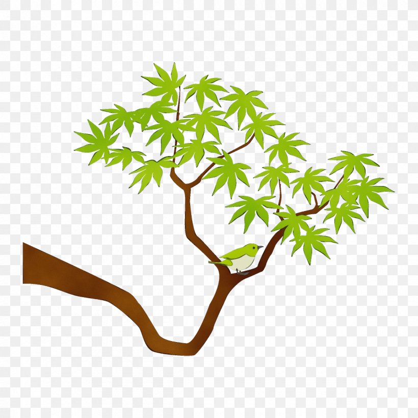 Leaf Branch Tree Plant Plant Stem, PNG, 1200x1200px, Watercolor, Branch, Flower, Leaf, Paint Download Free