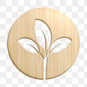 Leaf Icon Plant Icon Nature Icon PNG