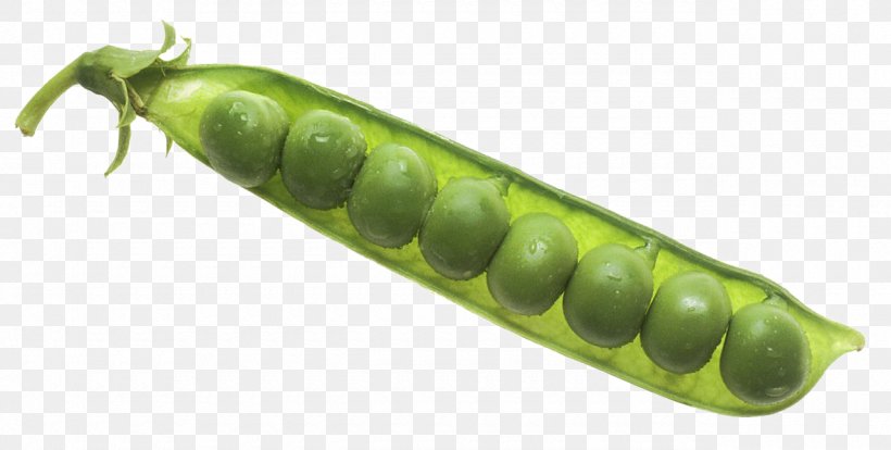 Snap Pea Snow Pea Green Pea Vegetable Pea Soup, PNG, 1280x647px, Snap Pea, Bean, Blackeyed Pea, Broad Bean, Caterpillar Download Free