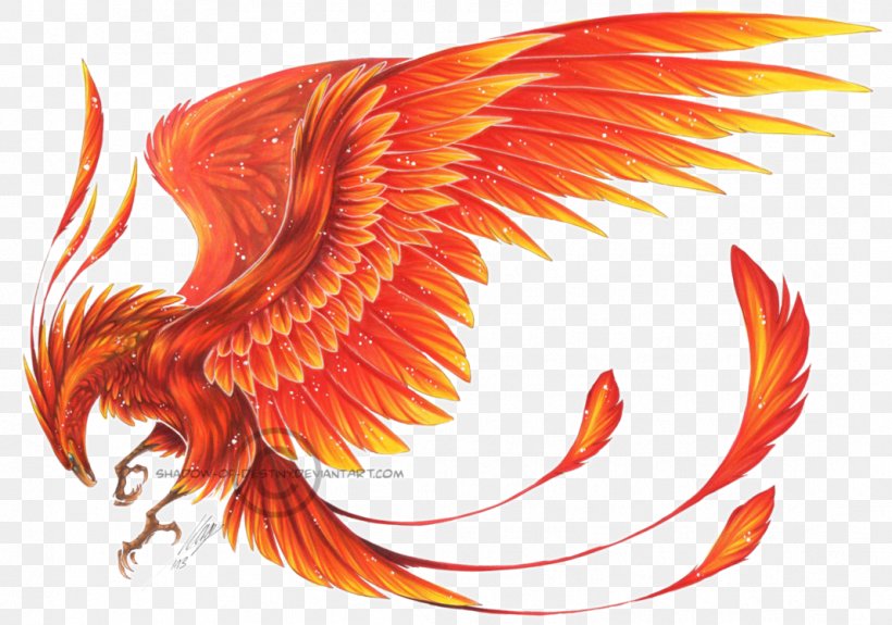 Phoenix Ibong Adarna Myth Clip Art, PNG, 1067x749px, Phoenix, Art, Beak, Burtonconner House, Chinese Mythology Download Free