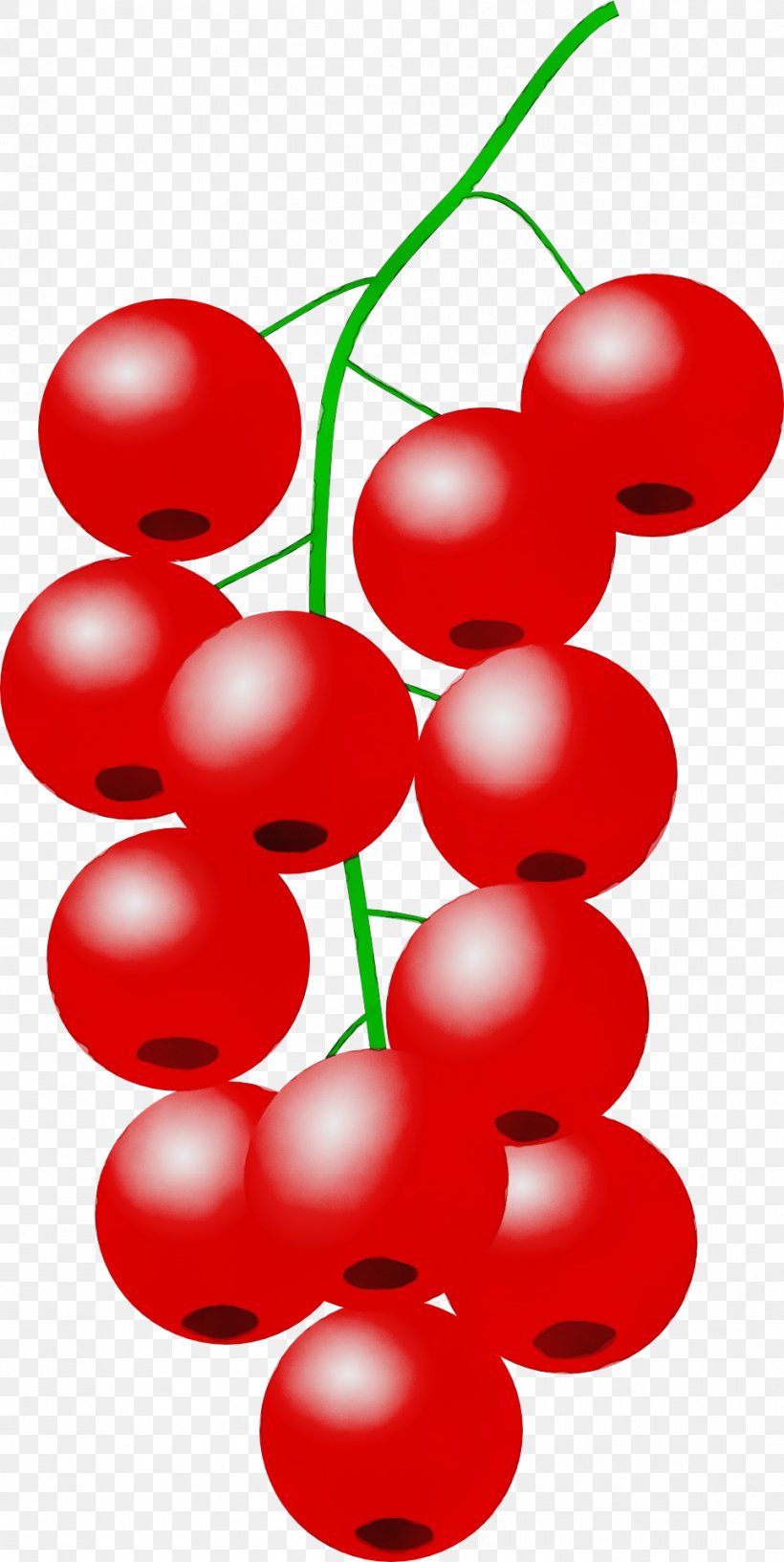 Red Clip Art Currant Fruit Plant, PNG, 964x1920px, Watercolor, Berry, Cherry, Currant, Fruit Download Free