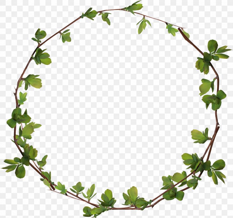 Circle Clip Art, PNG, 2570x2410px, Blog, Area, Branch, Copyright, Flora Download Free