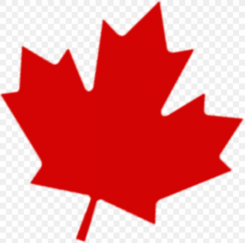 Flag Of Canada Maple Leaf Canada Day Clip Art Png 850x845px Canada Big Maple Leaf Canada