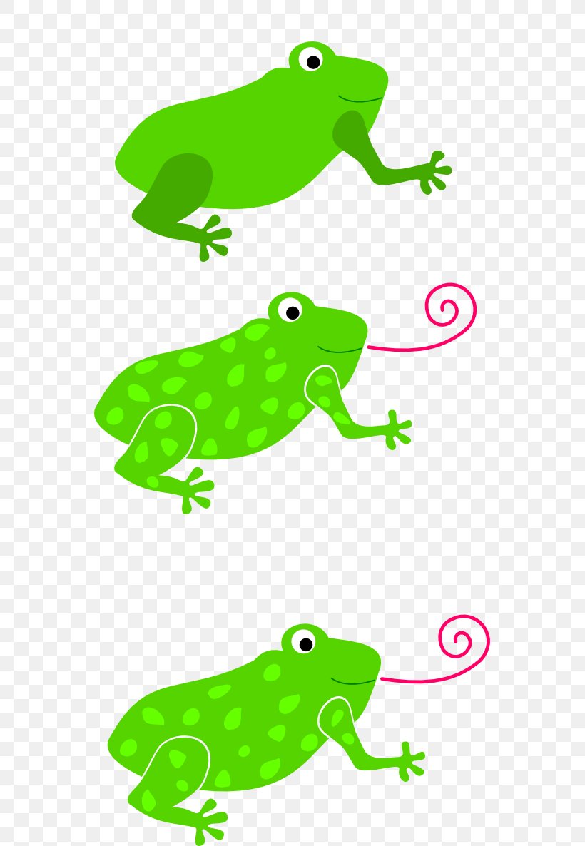 Frog Clip Art, PNG, 555x1186px, Frog, African Bullfrog, Amphibian, Animal Figure, Area Download Free