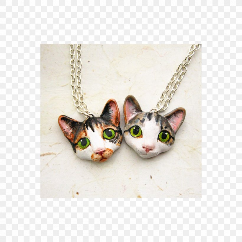 Necklace Cat Charms & Pendants Jewellery Brooch, PNG, 1200x1200px, Necklace, Bead, Brooch, Cat, Cat Like Mammal Download Free