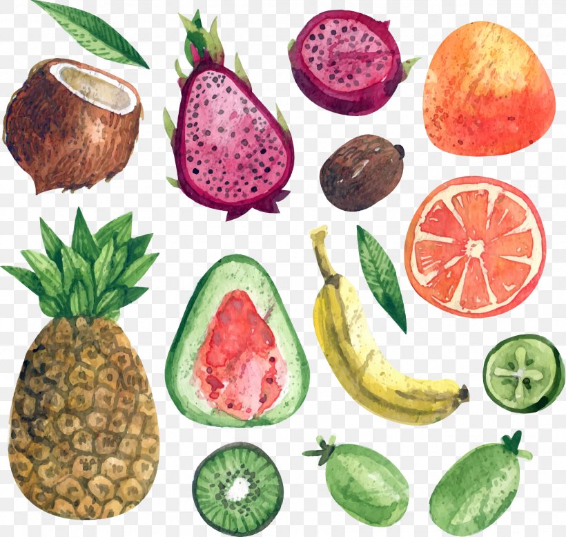 Pitaya Auglis Euclidean Vector, PNG, 1824x1729px, Pitaya, Auglis, Banana, Coconut, Diet Food Download Free