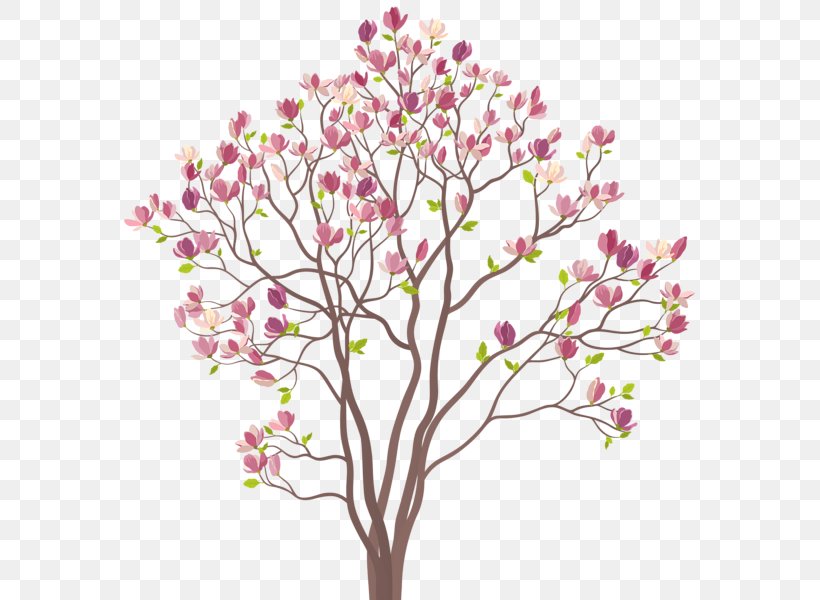 Royalty-free Drawing, PNG, 577x600px, Royaltyfree, Blossom, Branch, Cherry Blossom, Cut Flowers Download Free
