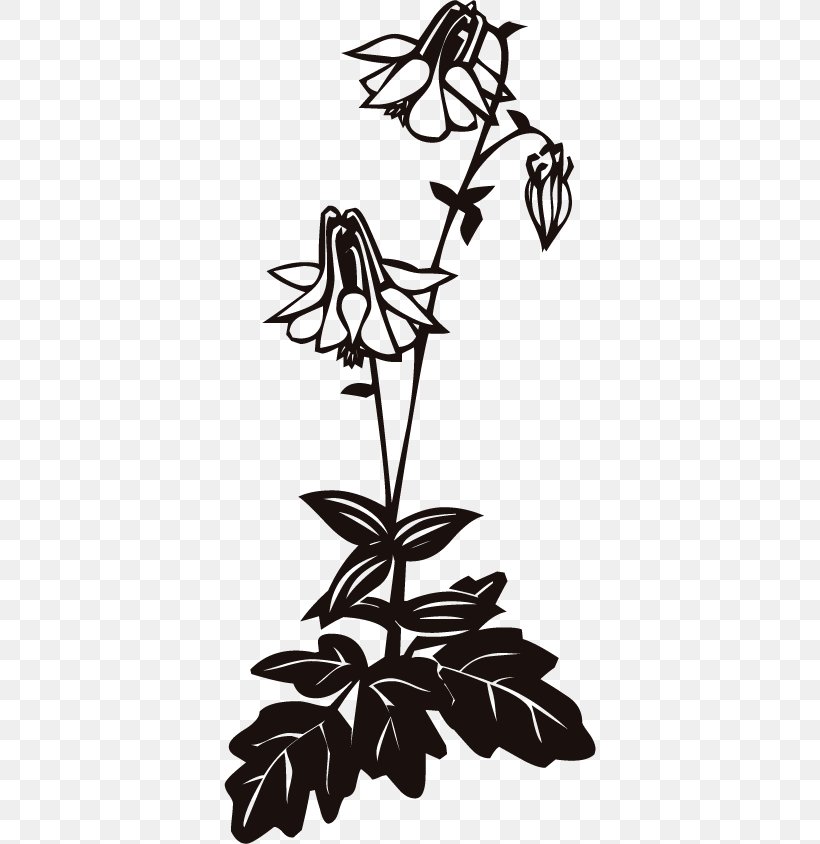 Clip Art Columbine Stock Photography Illustration Image, PNG, 372x844px, Columbine, Black And White, Branch, Flora, Flower Download Free