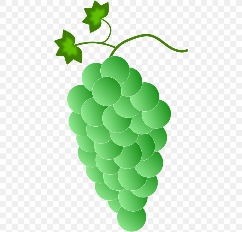Common Grape Vine Wine Clip Art Color, PNG, 456x786px, Common Grape Vine, Color, Food, Fruit, Grape Download Free