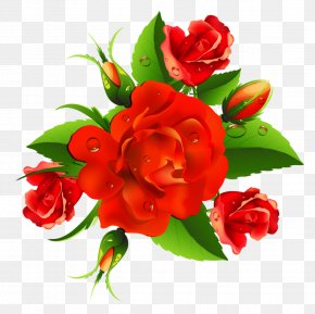 Rose - International Women's Day Woman Happiness March 8 Can Stock Photo PNG