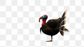 Thanks Giving Day - Normal Galliformes Goose Canada Beak PNG