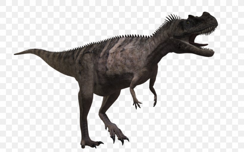 Ceratosaurus Carnotaurus Tyrannosaurus Allosaurus Dinosaur, PNG, 900x562px, Ceratosaurus, Allosaurus, Animal Figure, Carnivore, Carnotaurus Download Free