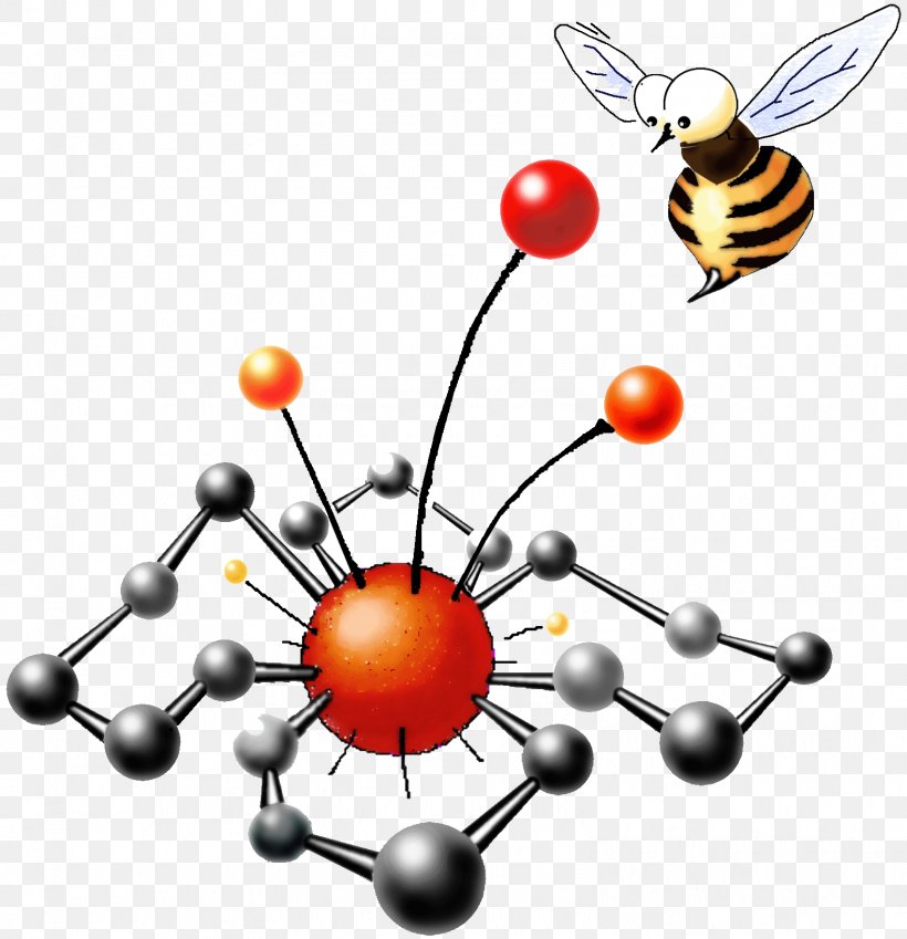 Insect Organic Chemistry Orange S.A. Clip Art, PNG, 1579x1635px, Insect, Chemistry, Membrane, Membrane Winged Insect, Orange Sa Download Free