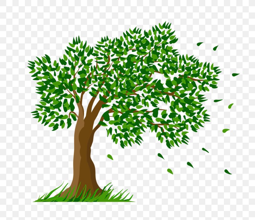 Oak Tree Leaf, PNG, 800x709px, Tree, Arbor Day, Branch, Document, Grass Download Free