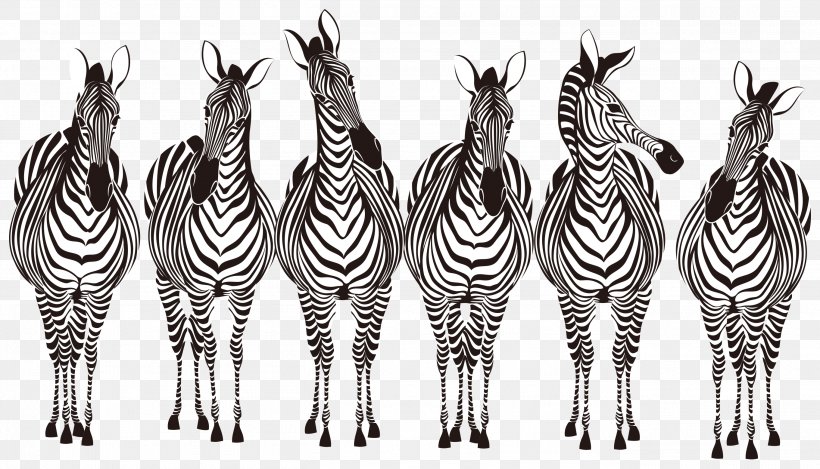 Zebra Royalty-free, PNG, 2723x1560px, Zebra, Art, Black And White, Fauna, Herd Download Free