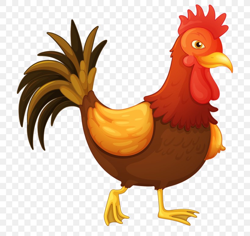 Chicken Rooster Clip Art, PNG, 800x774px, Chicken, Beak, Bird, Cartoon, Drawing Download Free