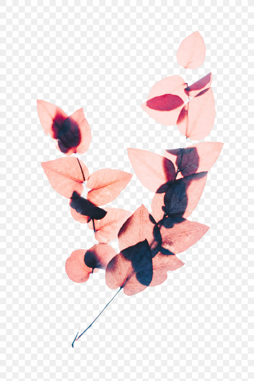 Flower Color Pink Cut Flowers Leaf, PNG, 1200x1798px, Flower, Canopy, Color, Cut Flowers, Grey Download Free