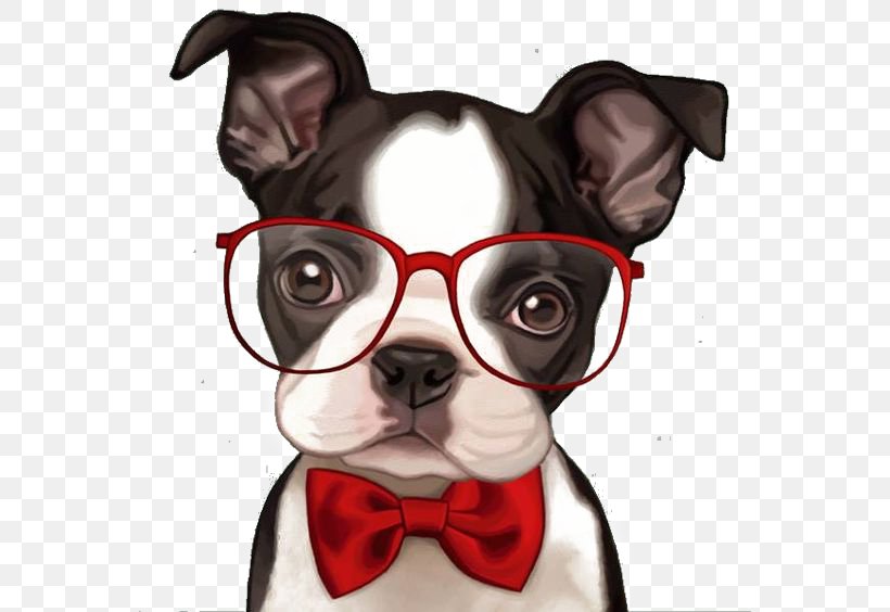 French Bulldog Boston Terrier Pug Bichon Frise, PNG, 564x564px, Boston Terrier, Airedale Terrier, Animal, Bichon Frise, Bull Terrier Download Free