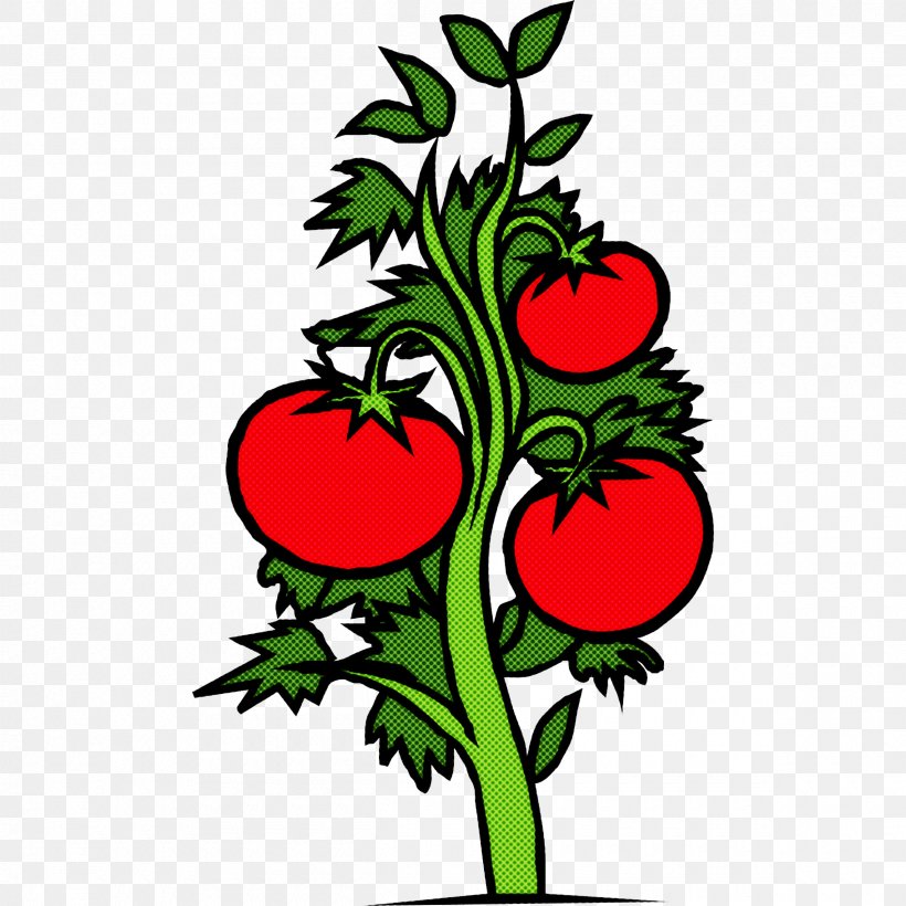 Tomato, PNG, 2400x2400px, Plant, Flower, Leaf, Plant Stem, Tomato Download Free