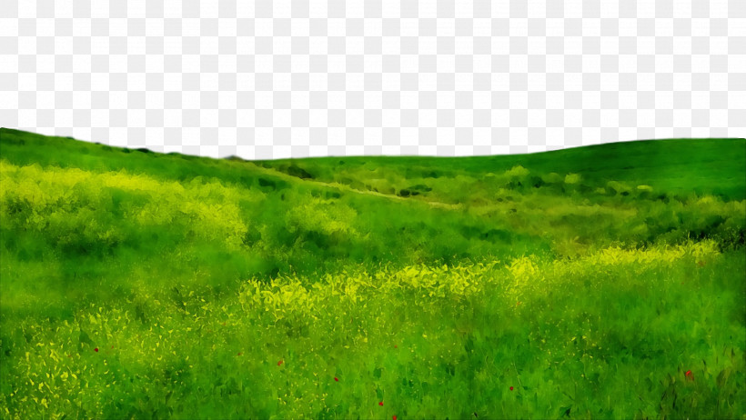 Vegetation Shrubland Steppe Grassland Ecoregion, PNG, 1920x1082px, Watercolor, Ecoregion, Grassland, Land Lot, Paint Download Free