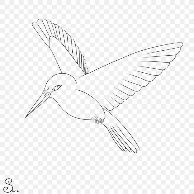 Bird Drawing Monochrome Black And White, PNG, 900x900px, Bird, Animal, Artwork, Beak, Black And White Download Free