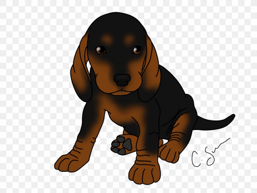 Dog Breed Black And Tan Coonhound Puppy Dachshund Bluetick Coonhound, PNG, 1024x768px, Dog Breed, Beagle, Black And Tan Coonhound, Bluetick Coonhound, Breed Download Free