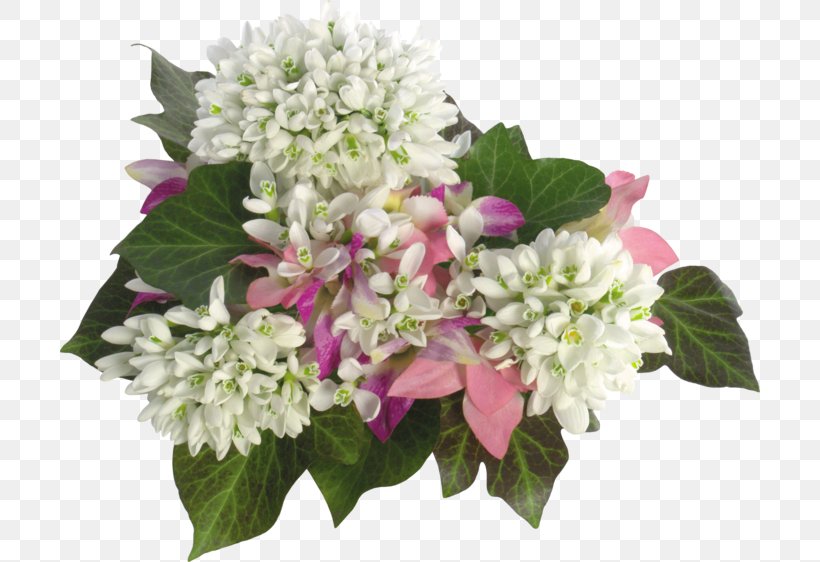 Flower Bouquet Snowdrop, PNG, 700x562px, Flower Bouquet, Animaatio, Blog, Cornales, Cut Flowers Download Free