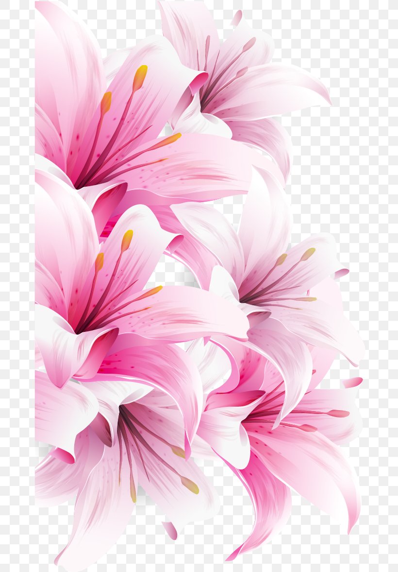 Lilium Bulbiferum Easter Lily Arum-lily Desktop Wallpaper Flower, PNG, 686x1177px, Lilium Bulbiferum, Annual Plant, Arumlily, Blossom, Calla Lily Download Free
