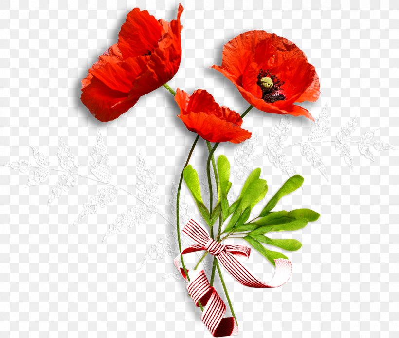 Quran Flower Poppy Painting Still Life, PNG, 1200x1017px, Quran, Annual Plant, Chocolate, Common Poppy, Coquelicot Download Free