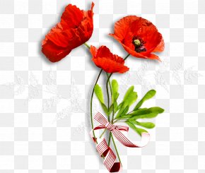 Poppy - Quran Flower Poppy Painting Still Life PNG