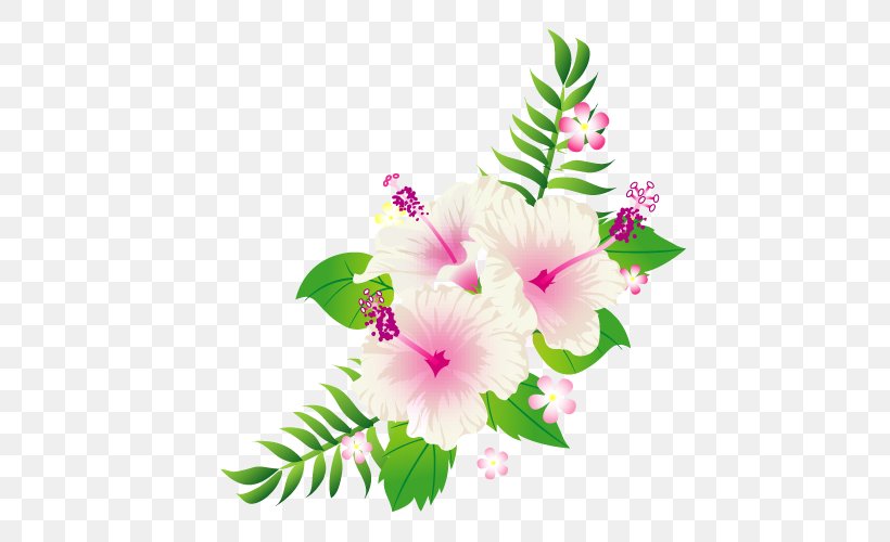 Shoeblackplant Cut Flowers Roselle Smartphone ラクマ, PNG, 470x500px, Shoeblackplant, Common Hibiscus, Cut Flowers, Floral Design, Floristry Download Free