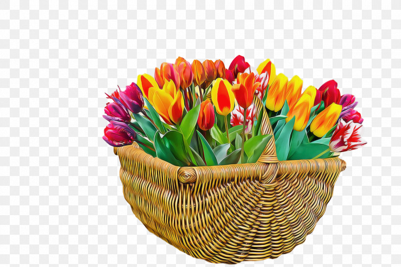 Spring, PNG, 1920x1280px, Spring, Bouquet, Crocus, Cut Flowers, Flower Download Free