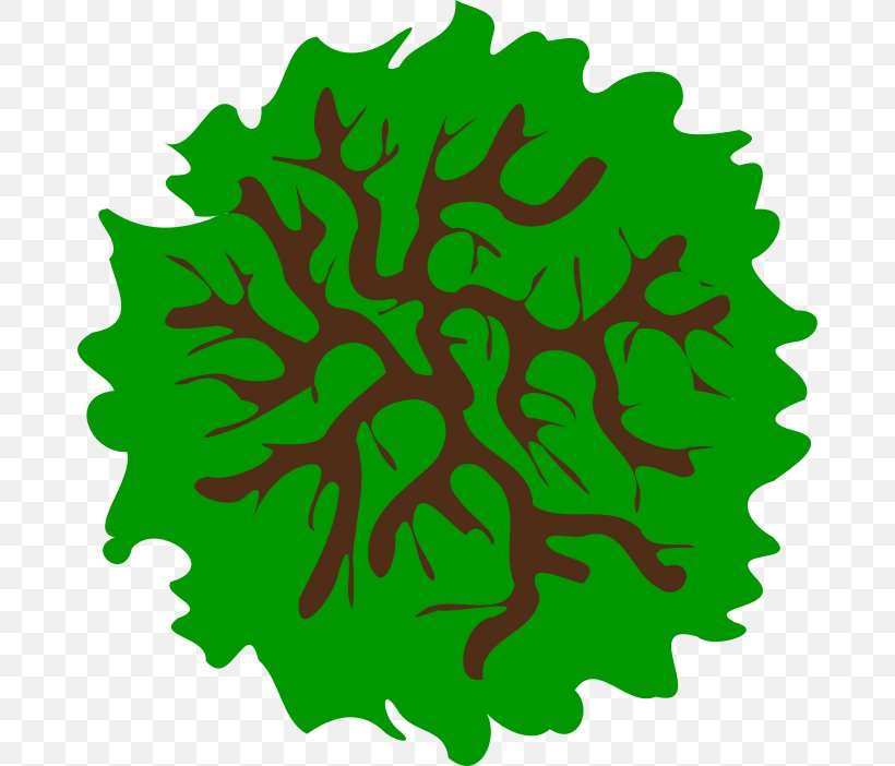 Tree Clip Art, PNG, 678x702px, Tree, Grass, Green, Html, Leaf Download Free