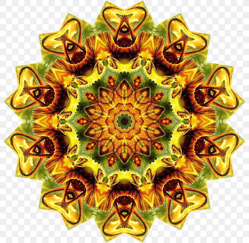 Art Forms In Nature Symmetry Visual Arts Pattern Lizard, PNG, 798x800px, Art Forms In Nature, Art, Ernst Haeckel, Flower, Kaleidoscope Download Free