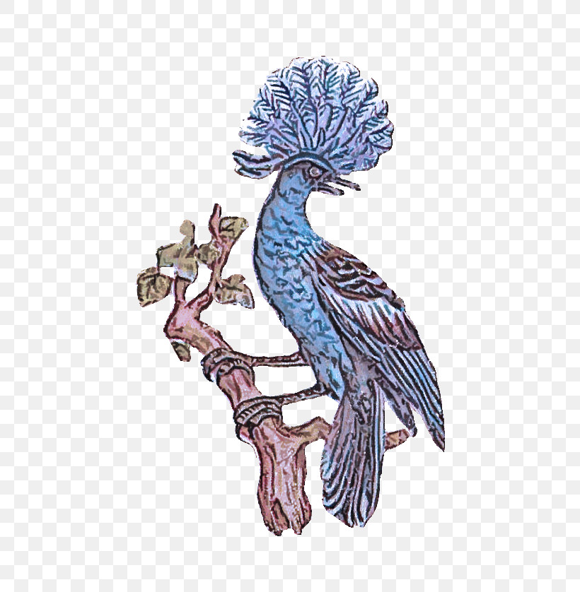 Bird Bluebird Blue Jay Beak Coraciiformes, PNG, 654x838px, Bird, Beak, Blue Jay, Bluebird, Coraciiformes Download Free