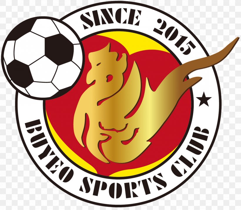 Buyeo SC Buyeo County 2017 K3 League Basic Chungju Citizen FC, PNG, 1177x1026px, K3 League, Area, Artwork, Ball, Brand Download Free