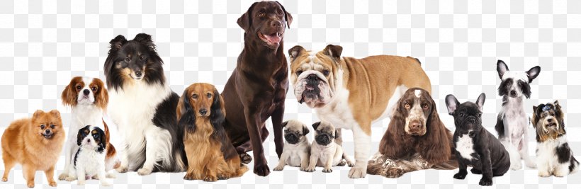 Cartoon Dog, PNG, 2393x781px, Dog, Ancient Dog Breeds, Cocker Spaniel, Collar, Companion Dog Download Free