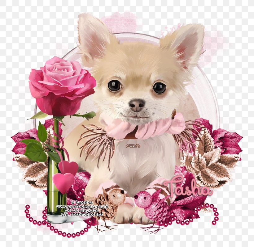 Chihuahua Puppy Dog Breed Greeting & Note Cards, PNG, 800x800px, Chihuahua, Ansichtkaart, Breed Group Dog, Carnivoran, Companion Dog Download Free