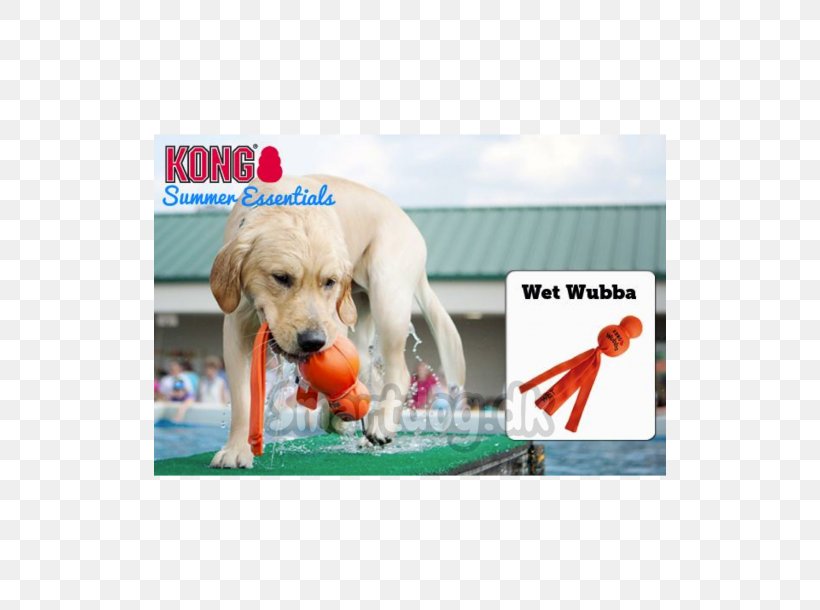 Dog Toys Kong Company Puppy, PNG, 610x610px, Dog, Advertising, Carnivoran, Companion Dog, Dog Breed Download Free
