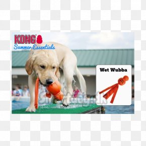Dog - Dog Toys Kong Company Puppy PNG