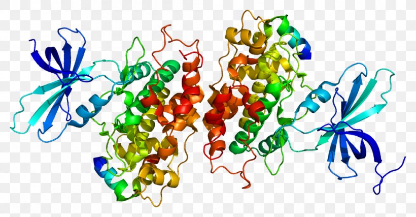 GSK3B GSK-3 Glycogen Synthase Kinase Enzyme Protein, PNG, 1056x550px, Enzyme, Art, Biology, Glycogen Synthase, Homo Sapiens Download Free