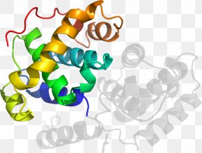 Design - Human Behavior Organism Graphic Design Clip Art PNG