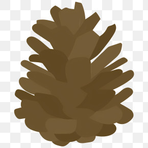 Pine Cone - Brown Pine Cone PNG