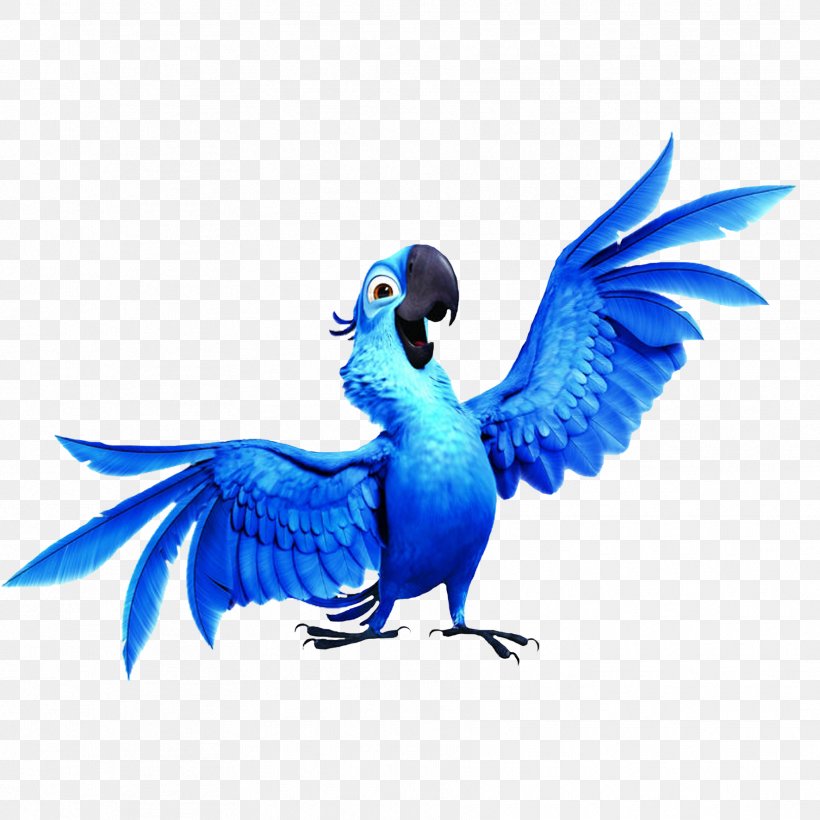 Blu Jewel Rio De Janeiro Nigel Clip Art, PNG, 1772x1772px, Blu, Beak, Bird, Character, Common Pet Parakeet Download Free