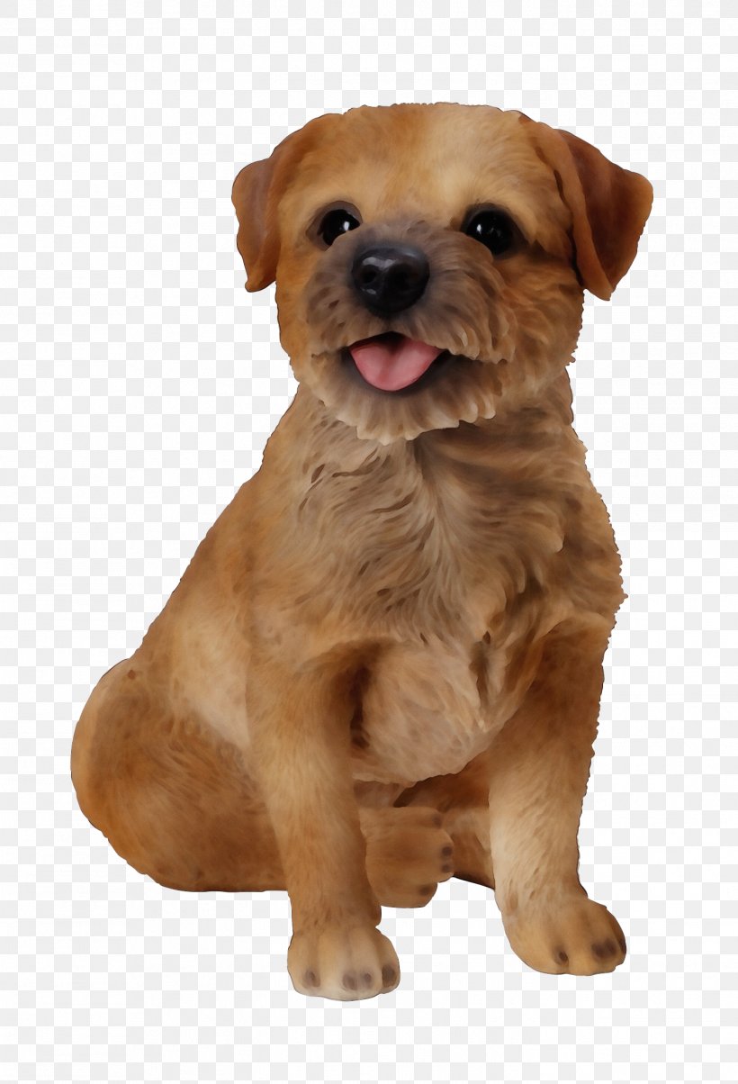 Cartoon Border, PNG, 1422x2089px, Norfolk Terrier, Border Terrier, Breed, Companion Dog, Crossbreed Download Free