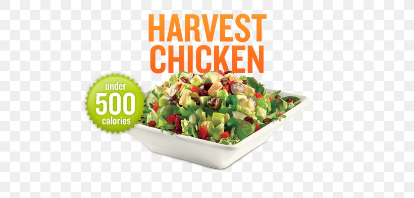 Chicken Salad Chef Salad Submarine Sandwich Wrap Quiznos, PNG, 491x392px, Chicken Salad, Chef Salad, Cuisine, Diet Food, Dish Download Free
